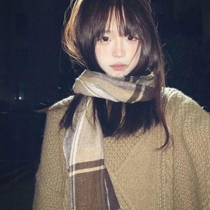 认识狗狗